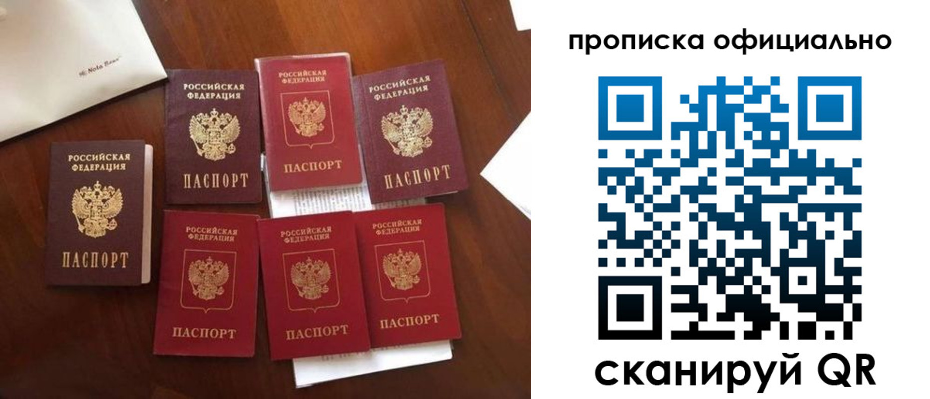 прописка законно в Новозыбкове